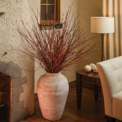 Arctic Fire® Red Twig Dogwood -Blossom Berry Shop Arctic Fire Twig Dogwood 6 FGT