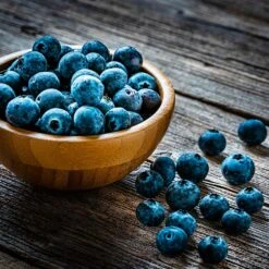 Aurora Blueberry Bush -Blossom Berry Shop Aurora Blueberry 4