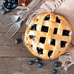 Aurora Blueberry Bush -Blossom Berry Shop Aurora Blueberry 5