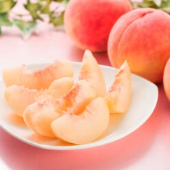 Babcock Peach Tree -Blossom Berry Shop Babcock Peach 2