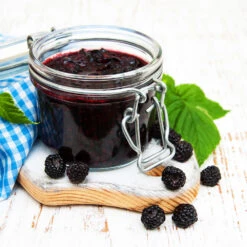 Big Daddy Blackberry Bush -Blossom Berry Shop Big Daddy Blackberry 3