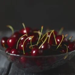 Black Tartarian Cherry Tree -Blossom Berry Shop Black Tartarian Cherry Tree 2 FGT