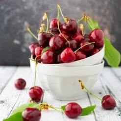 Brooks Cherry Tree -Blossom Berry Shop Brooks Cherry Tree 5 FGT