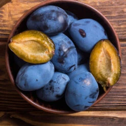 Brooks Plum Tree -Blossom Berry Shop Brooks Plum 2