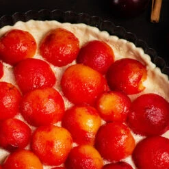 Bubblegum 'Toka' Plum Tree 9 Bubblegum 'Toka' Plum Tree -Blossom Berry Shop Bubblegum Toka Plum 3