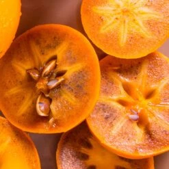 Chocolate Persimmon Tree -Blossom Berry Shop CHocolate Persimmon 2