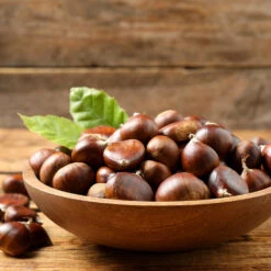 Chinese Chestnut Tree -Blossom Berry Shop Chinese Chestnut 3 FGT