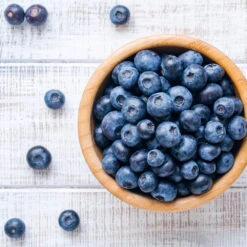 Climax Blueberry - USDA Organic -Blossom Berry Shop Climax Blueberry 4 6dff9fe5 d11c 4867 ac6f bf49cd37acb5