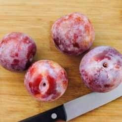 Dapple Dandy Pluot Tree -Blossom Berry Shop Dapple Dandy 2