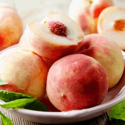 Early White Giant Peach Tree -Blossom Berry Shop Early White Giant Peach Tree 450 D1