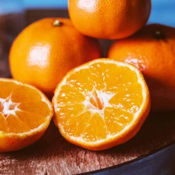 EasyPeel Clementine Tree -Blossom Berry Shop Easy Peel Clementine 4 FGT