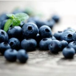 Elliot Blueberry Bush -Blossom Berry Shop Elliot Blueberry 450 D2