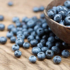 Emerald Blueberry Bush -Blossom Berry Shop Emerald Blueberries 1