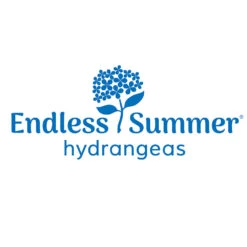 Endless Summer® Summer Crush® Hydrangea 13 Endless Summer® Summer Crush® Hydrangea -Blossom Berry Shop Endless Summer Hydrangeas 1000x1000 347a4889 45a5 42f4 94f1 e0220955e380