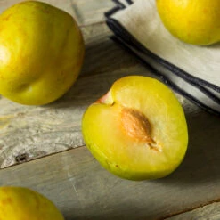 Flavor Queen Pluot® -Blossom Berry Shop Flavor Queen Pluot 2