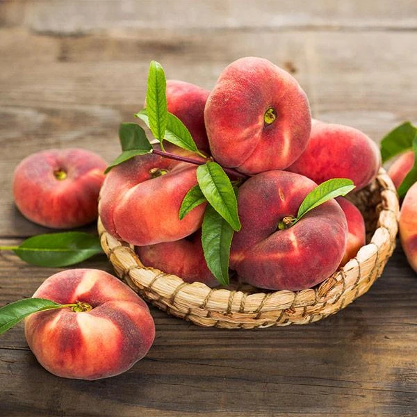 Galaxy Peach Tree 1 Galaxy Peach Tree