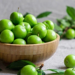 Green Gage Plum -Blossom Berry Shop Green Gage Plum 2