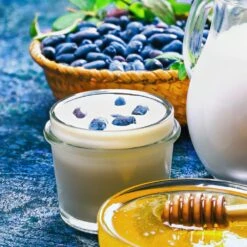 Indigo Gem Haskap (Honeyberry) -Blossom Berry Shop Indigo GEm Haskap 1