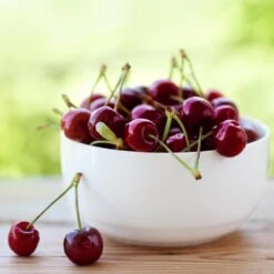 Lapins Cherry Tree -Blossom Berry Shop Lapins Cherry Tree 2 FGT 325a18e6 7143 4729 a41b b0d9614909b8