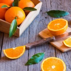 Midknight Valencia Orange -Blossom Berry Shop MidKnight Orange 3 FGT