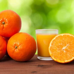 Midknight Valencia Orange -Blossom Berry Shop MidKnight Valencia Orange 3