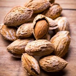 Nonpareil Almond Tree -Blossom Berry Shop Nonpareil Almonds 3