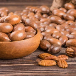 Pawnee Pecan Tree -Blossom Berry Shop Pawnee Pecan 4 FGT