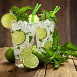 Persian 'Bearss' Lime Tree 11 Persian 'Bearss' Lime Tree -Blossom Berry Shop Persian Lime Tree 4 FGT