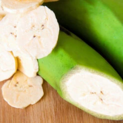 Puerto Rican Plantain Banana Tree -Blossom Berry Shop Puerto Rican Plantain Banana Tree 3