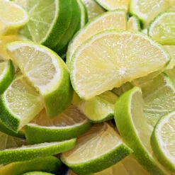 Persian 'Bearss' Lime Bush 8 Persian 'Bearss' Lime Bush -Blossom Berry Shop Pursian Lime Bush 1 FGT 8e948345 4f0b 4e96 a96f a17b7b31b7ab