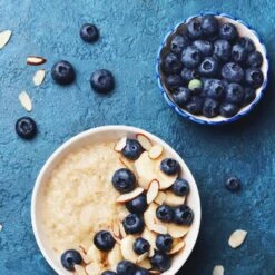 Reveille Blueberry Bush -Blossom Berry Shop Reville Blueberry 2