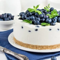 Sunshine Blue Blueberry Bush -Blossom Berry Shop SUnshine BLue Blueberry 4