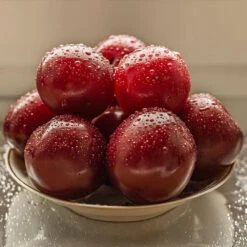 Satsuma Plum Tree -Blossom Berry Shop Satsuma Plum 3