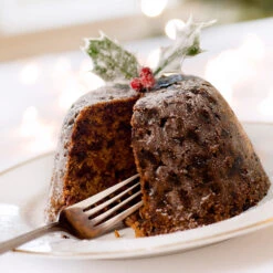 Satsuma Plum Tree -Blossom Berry Shop Satsuma Plum 4