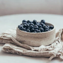 Sharpblue Blueberry Bush -Blossom Berry Shop Sharpblue Blueberry 1