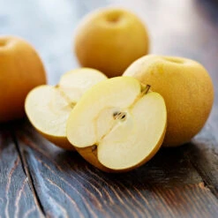 Shinseiki Asian Pear -Blossom Berry Shop Shinseiki Asian Pear 5 FGT