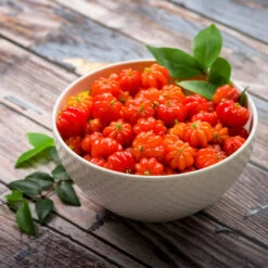 Star Cherry Tree (Pitanga) -Blossom Berry Shop Star Cherry 3 FGT