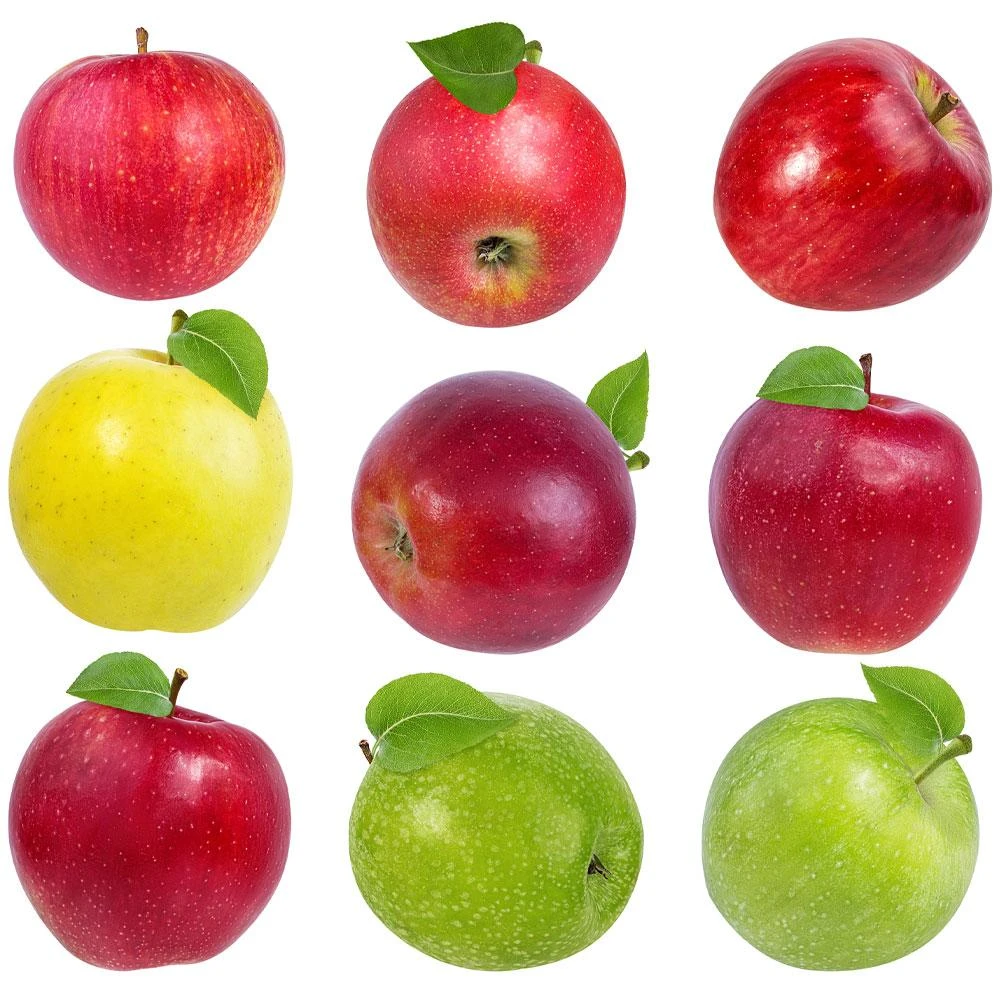 5-in-1 Apple Surprise Tree 2 5-in-1 Apple Surprise Tree - Image 2
