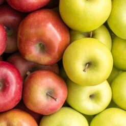 4-in-1 Apple Surprise Tree 6 4-in-1 Apple Surprise Tree -Blossom Berry Shop Surprise Apple 1 fd4b319d eb68 4ca8 b9dc 6ed8dd5560c3