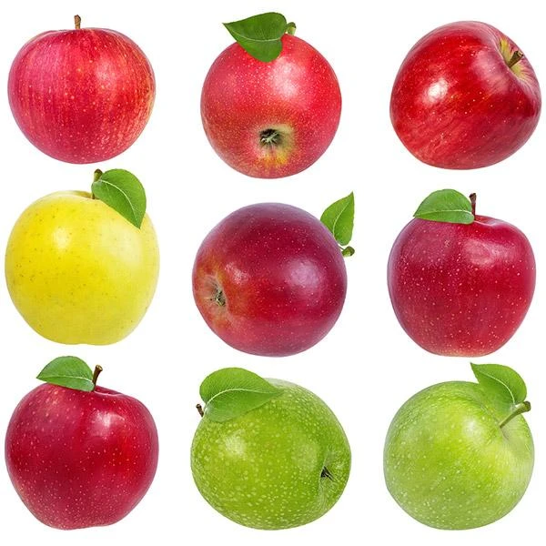 5-in-1 Apple Surprise Tree 1 5-in-1 Apple Surprise Tree