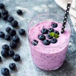 Tifblue Blueberry Bush -Blossom Berry Shop TifBlue Blueberry 5