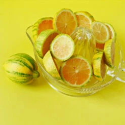 Pink Variegated Eureka Lemon Tree 10 Pink Variegated Eureka Lemon Tree -Blossom Berry Shop Variegated Pink Eureka 3 fc1d5a93 7ca6 443b a4e9 221de3f12f84